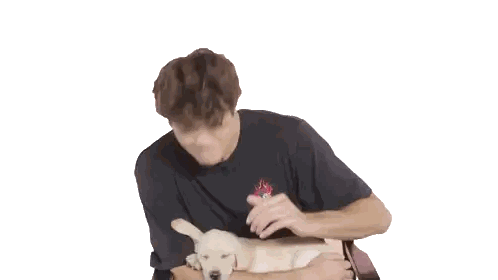 A Man In A Black Shirt Holds A Puppy In His Arms Sticker