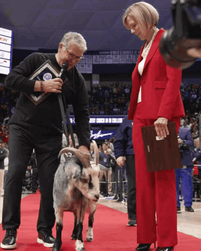 A Man In A Black Shirt Is Holding A Microphone While A Woman In A Red Suit Stands Next To A Small Goat GIF