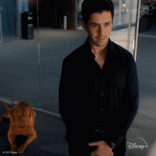 A Man In A Black Shirt Is Standing Next To A Dog With Disney + Written On The Bottom Right GIF
