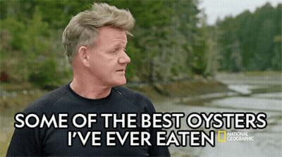 A Man In A Black Shirt Says Some Of The Best Oysters I Have Ever Eaten GIF