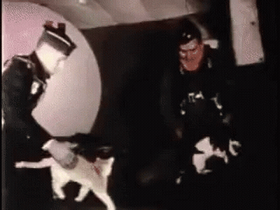 A Man In A Black Shirt With The Letter T On It Stands Next To A Cat GIF