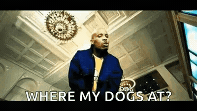 A Man In A Blue Jacket Is Standing In A Room With A Chandelier And Says `` Where My Dogs At ? '' GIF