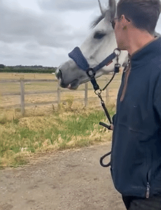 A Man In A Blue Jacket Stands Next To A White Horse GIF