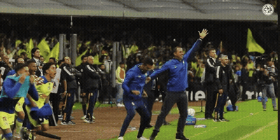 A Man In A Blue Jacket Stands On A Soccer Field In Front Of A Sign That Says ' E ' On It GIF