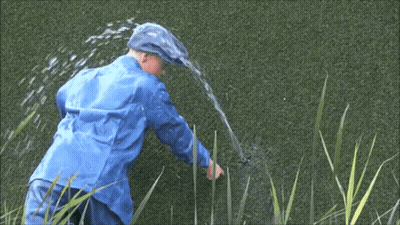A Man In A Blue Raincoat Is Spraying Water From A Hose . GIF