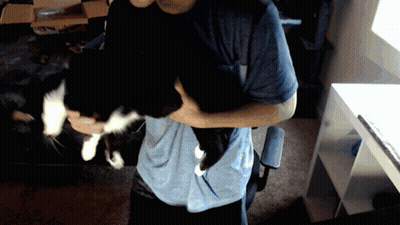 A Man In A Blue Shirt Holds A Black And White Cat GIF