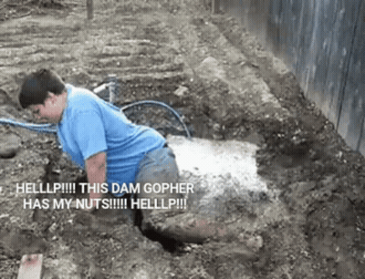 A Man In A Blue Shirt Is Kneeling In The Dirt With The Words Helllp This Dam Gopher Has My Nuts Written Below Him GIF