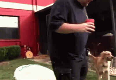 A Man In A Blue Shirt Is Standing Next To A Dog And Holding A Red Cup GIF