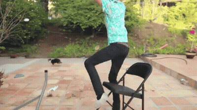 A Man In A Blue Shirt Is Standing On One Leg On A Folding Chair GIF