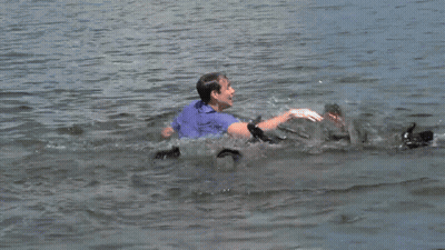A Man In A Blue Shirt Is Swimming In The Ocean GIF