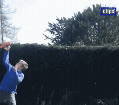 A Man In A Blue Shirt Is Throwing A Frisbee Over A Hedge GIF