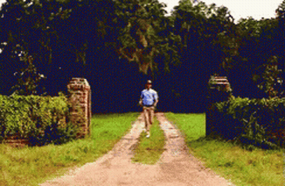 A Man In A Blue Shirt Is Walking Down A Dirt Road Surrounded By Trees GIF