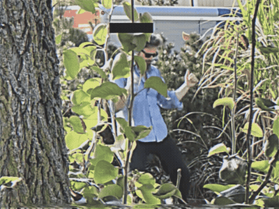 A Man In A Blue Shirt Stands In A Lush Green Forest GIF