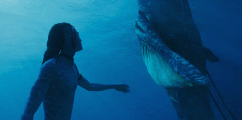 A Man In A Blue Suit Is Touching A Shark In The Ocean GIF