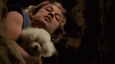 A Man In A Blue Tank Top Is Holding A Small White Dog In His Arms . GIF