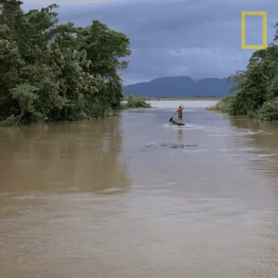 A Man In A Boat In A Flooded Area With A National Geographic Logo In The Background GIF