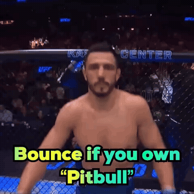 A Man In A Boxing Ring Says " Bounce If You Own " Pitbull GIF