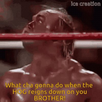 A Man In A Boxing Ring With A Caption That Says What Cha Gonna Do When The Hog Reigns Down On You Brother GIF