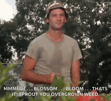 A Man In A Bucket Hat Is Standing In Front Of A Bunch Of Plants And Flowers . GIF