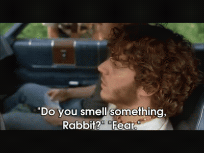 A Man In A Car Says " Do You Smell Something Rabbit ? " GIF