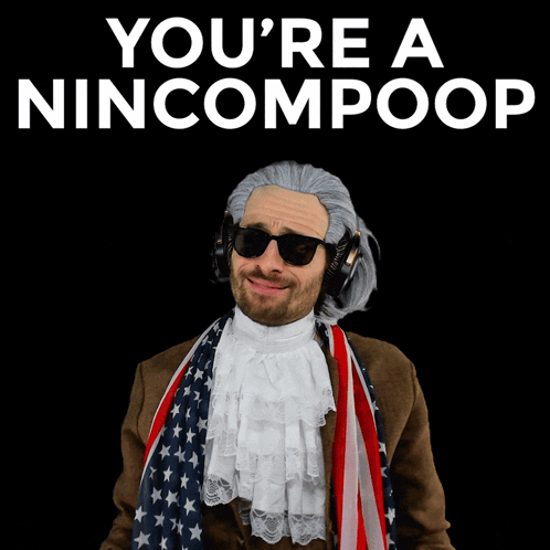 A Man In A Costume With The Words You 'Re A Nincompoop On The Top GIF