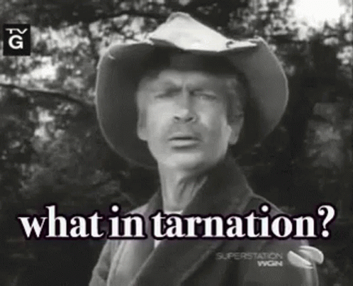 A Man In A Cowboy Hat Is Asking What Is In Tarnation GIF