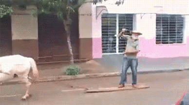 A Man In A Cowboy Hat Is Standing On A Wooden Board Next To A White Horse . GIF
