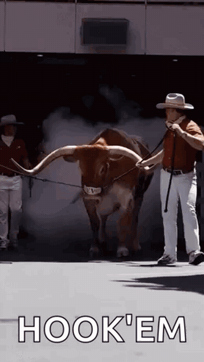 A Man In A Cowboy Hat Is Walking A Longhorn Bull On A Leash . GIF