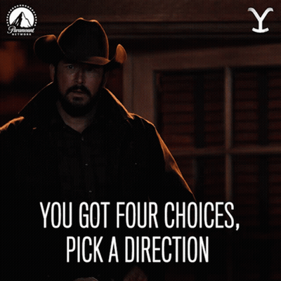 A Man In A Cowboy Hat With The Words You Got Four Choices Pick A Direction Below Him GIF