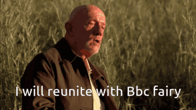 A Man In A Field With The Words " I Will Reunite With Bbc Fairy " Above Him GIF