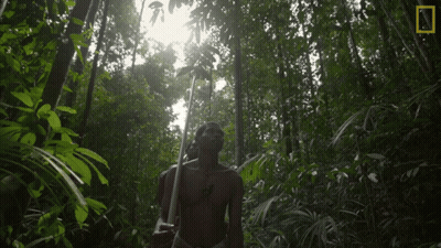 A Man In A Forest With A National Geographic Logo On The Bottom Right GIF