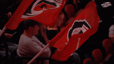 A Man In A Gray Shirt Holds A Red Flag With A Hurricanes Logo On It GIF