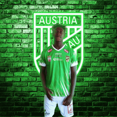 A Man In A Green Jersey With The Word Austria On It GIF