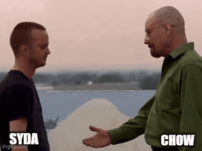 A Man In A Green Shirt Is Shaking Hands With Another Man In A Black Shirt In Front Of A Body Of Water . GIF