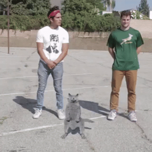A Man In A Green Shirt Is Standing Next To A Man In A White Shirt GIF