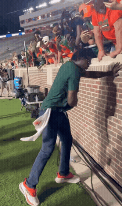 A Man In A Green Shirt Stands On A Brick Wall GIF