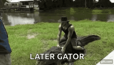 A Man In A Hat Is Kneeling On Top Of A Large Alligator In The Grass . GIF