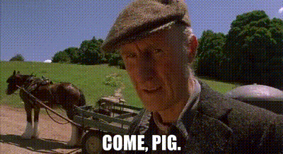 A Man In A Hat Is Standing In Front Of A Horse Drawn Cart And Says Come Pig . GIF