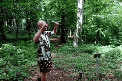 A Man In A Hawaiian Shirt Stands In The Middle Of A Forest GIF