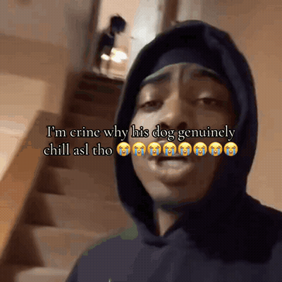 A Man In A Hoodie Says I 'M Crying Why His Dog Genuinely Chill Asl Tho GIF