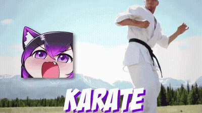 A Man In A Karate Uniform Is Standing In Front Of A Mountain GIF