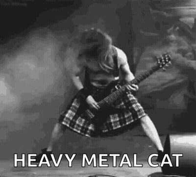 A Man In A Kilt Is Playing A Guitar In A Black And White Photo With The Words Heavy Metal Cat Below Him . GIF