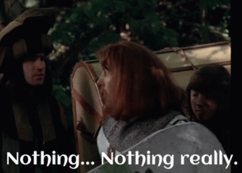 A Man In A Knight 'S Armor Holding A Shield With The Words Nothing ... Nothing Really Behind Him GIF