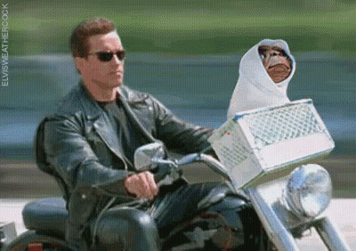 A Man In A Leather Jacket Is Riding A Motorcycle With A Monkey In A Basket . GIF