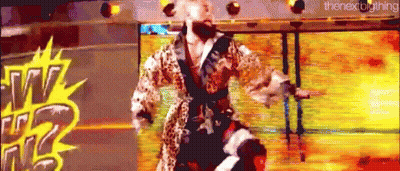 A Man In A Leopard Print Robe Is Standing On A Stage In Front Of A Large Screen . GIF