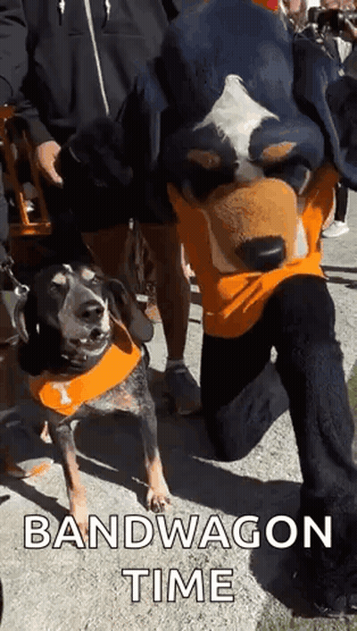 A Man In A Mascot Costume Is Kneeling Next To A Dog Wearing An Orange Bandana . GIF
