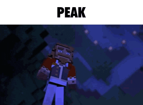 A Man In A Minecraft Video Game Is Standing In The Dark With The Word Peak Above Him GIF