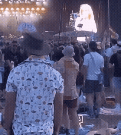 A Man In A Mushroom Shirt Stands In Front Of A Crowd GIF
