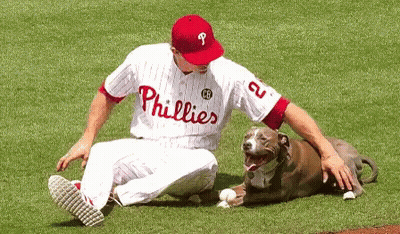 A Man In A Phillies Jersey Sits On The Field With A Dog GIF