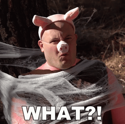 A Man In A Pig Costume Says What ? GIF